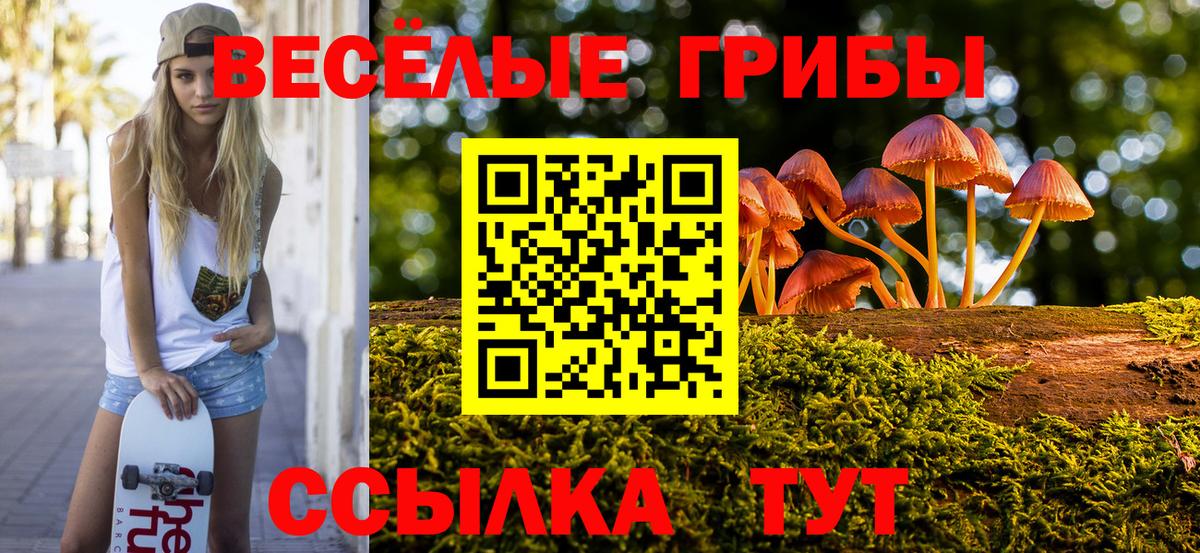 Псилоцибиновые грибы Magic Shrooms Минусинск